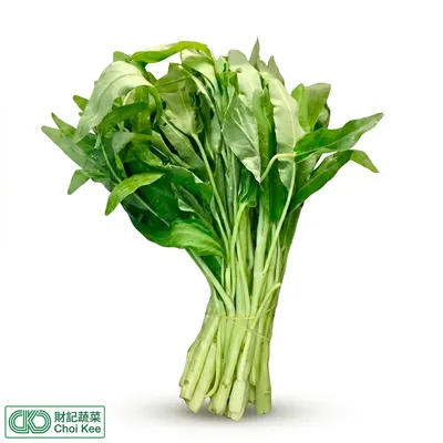 白通菜