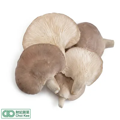 鮑魚菇