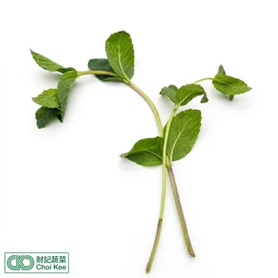 薄荷葉