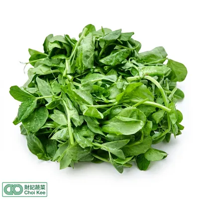 豆苗