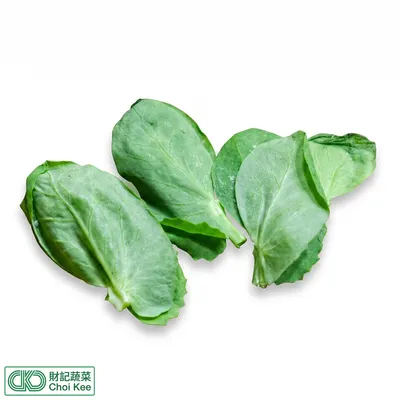 豆胚