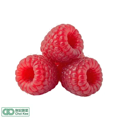 紅桑子