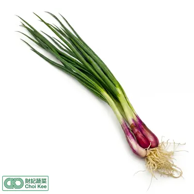 紅頭蔥肉