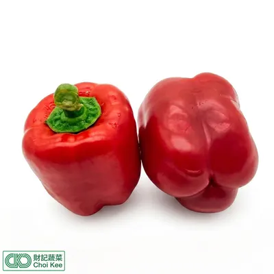紅圓椒