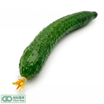 花肋瓜