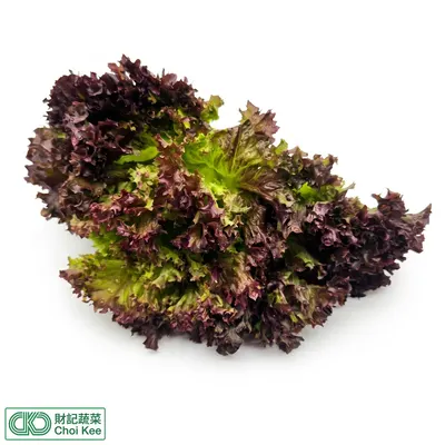 紅毛菜