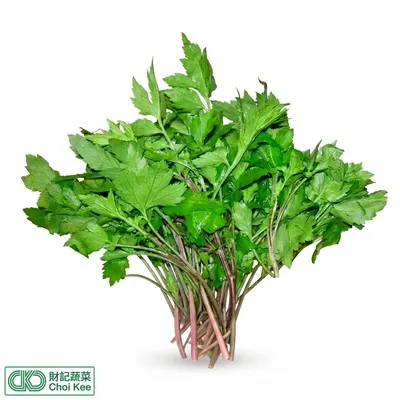 珍珠菜