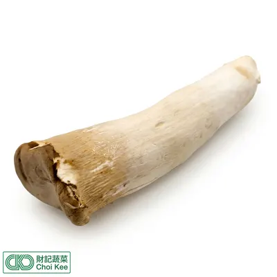雞腿菇
