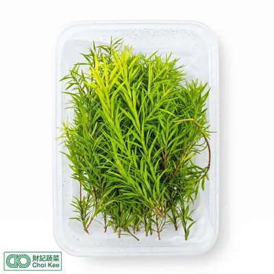 黃金柳芽