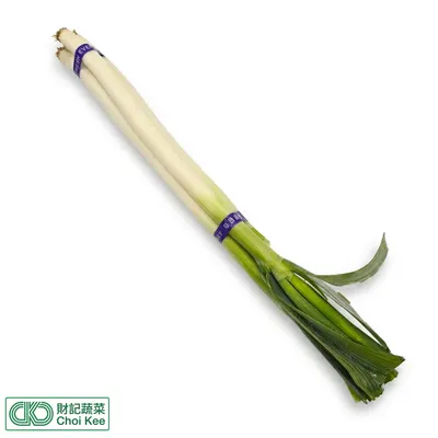京蔥