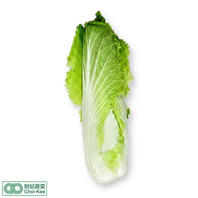 津菜