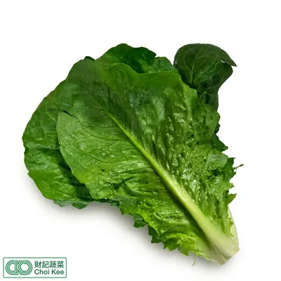 蘿文菜