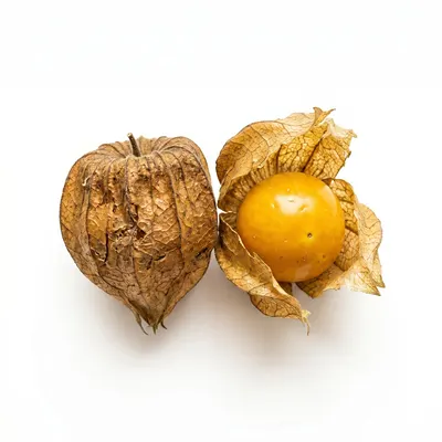 龍珠果