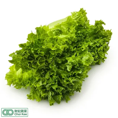 綠毛菜