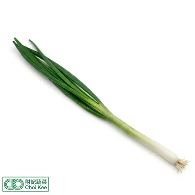 肉蔥
