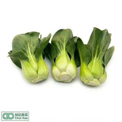 小棠菜苗