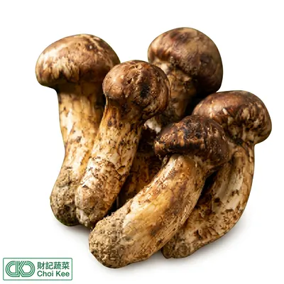 松茸菇