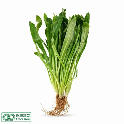 泰國芫茜