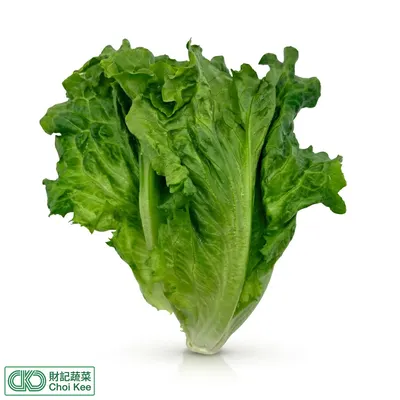 唐生菜