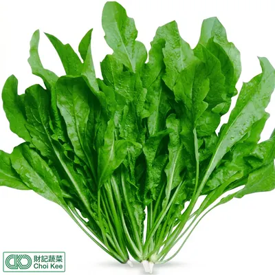 薺菜