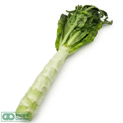 窩筍