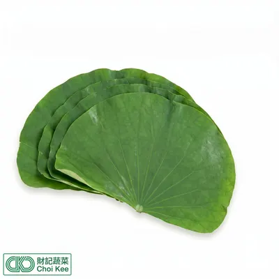 鮮荷葉