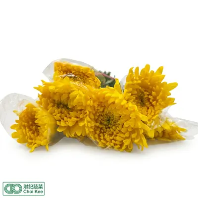 蟹爪菊