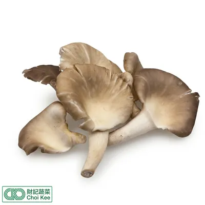 秀珍菇