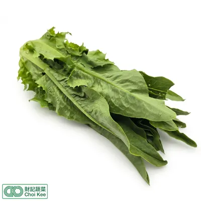 油麥菜