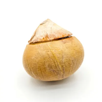 椰皇