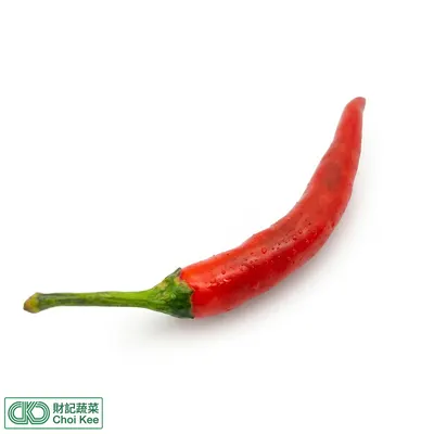 指天椒